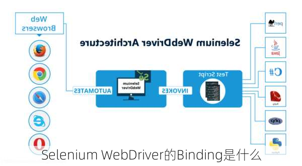 Selenium WebDriver的Binding是什么
