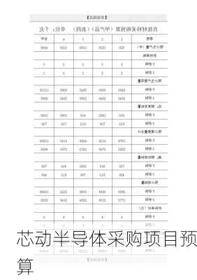 芯动半导体采购项目预算