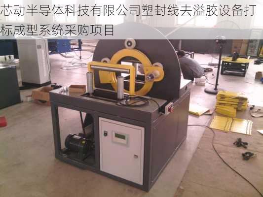 芯动半导体科技有限公司塑封线去溢胶设备打标成型系统采购项目