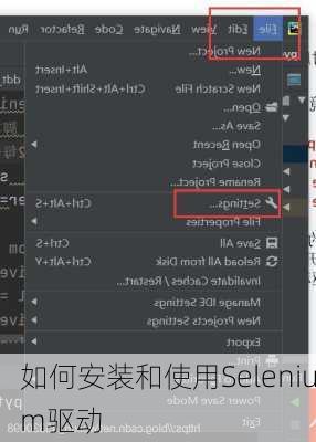 如何安装和使用Selenium驱动