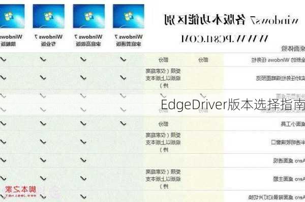 EdgeDriver版本选择指南