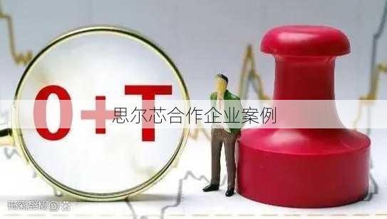 思尔芯合作企业案例