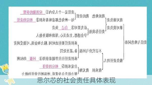 思尔芯的社会责任具体表现