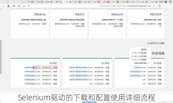 Selenium驱动的下载和配置使用详细流程