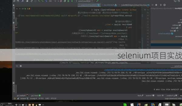 selenium项目实战