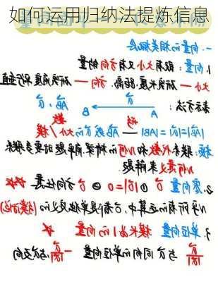 如何运用归纳法提炼信息
