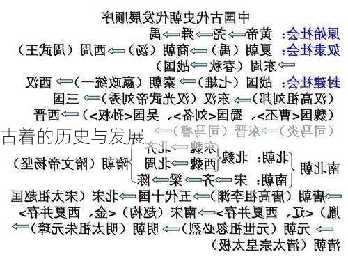 古着的历史与发展