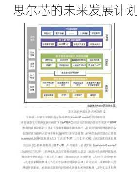 思尔芯的未来发展计划