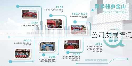 公司发展情况