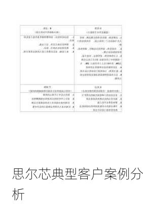 思尔芯典型客户案例分析