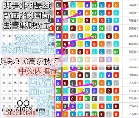 足彩310高级技巧