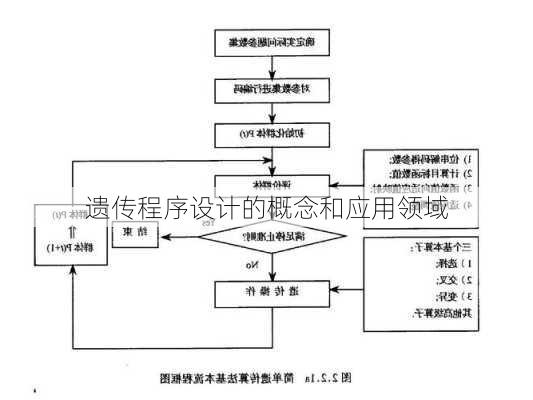 遗传程序设计的概念和应用领域