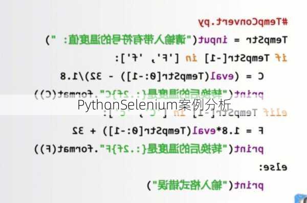 PythonSelenium案例分析