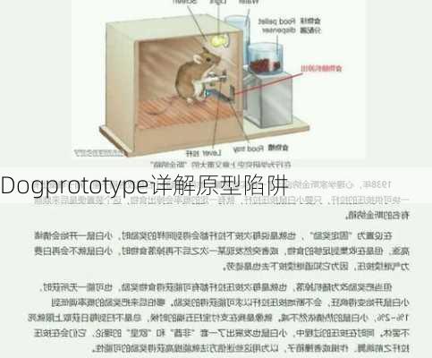 Dogprototype详解原型陷阱