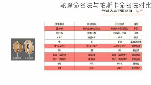 驼峰命名法与帕斯卡命名法对比