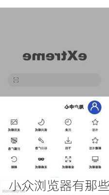 小众浏览器有那些