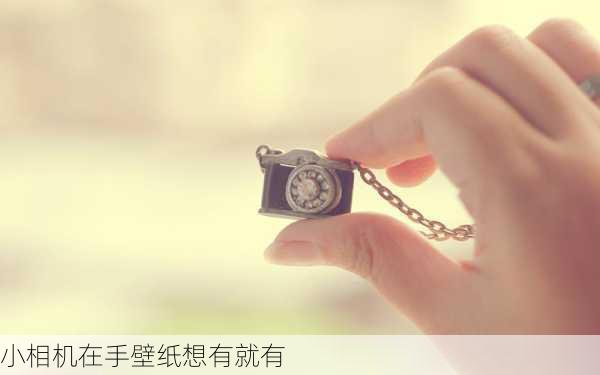 小相机在手壁纸想有就有