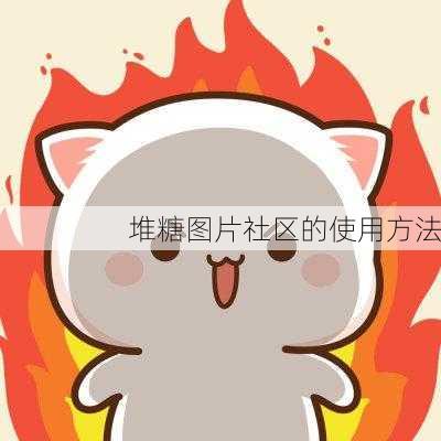 堆糖图片社区的使用方法