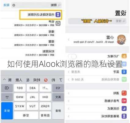 如何使用Alook浏览器的隐私设置