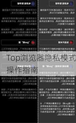 Top浏览器隐私模式操作指南