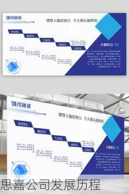 思嘉公司发展历程