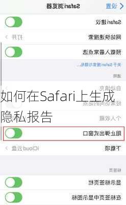 如何在Safari上生成隐私报告