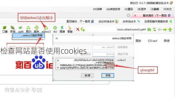 检查网站是否使用cookies