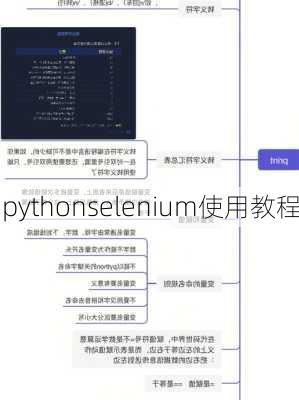pythonselenium使用教程