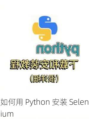如何用 Python 安装 Selenium