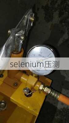 selenium压测