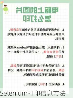 Selenium打印信息方法