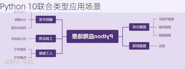 Python 10联合类型应用场景