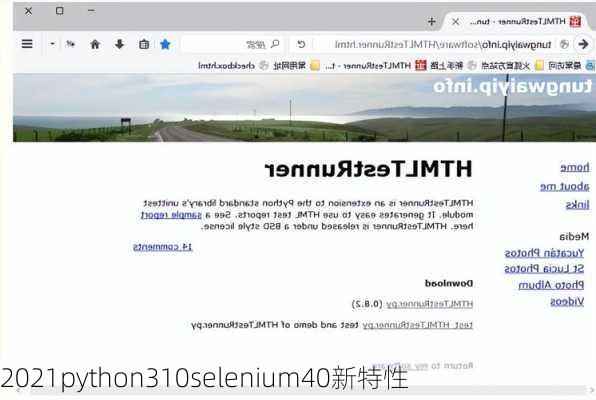 2021python310selenium40新特性