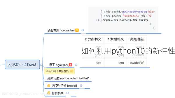 如何利用python10的新特性
