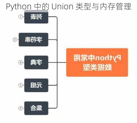 Python 中的 Union 类型与内存管理