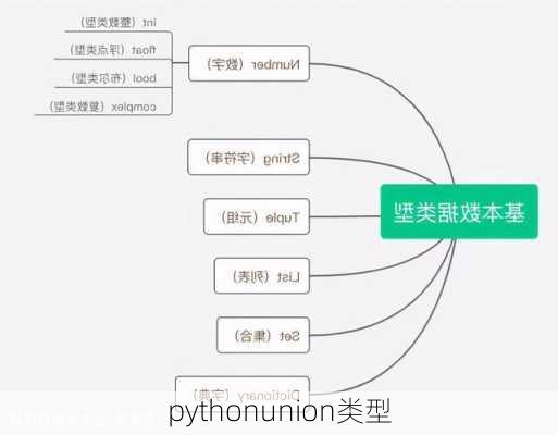pythonunion类型