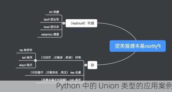 Python 中的 Union 类型的应用案例