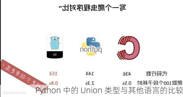 Python 中的 Union 类型与其他语言的比较