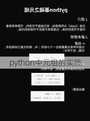 python中元组的实践