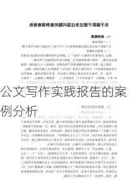 公文写作实践报告的案例分析