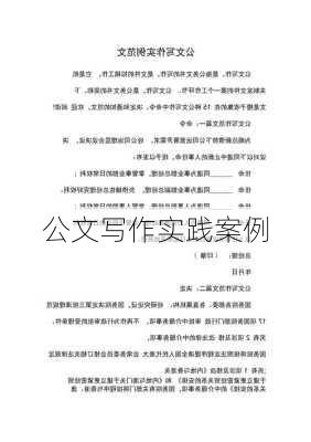 公文写作实践案例