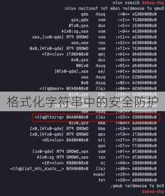 格式化字符串中的安全防护