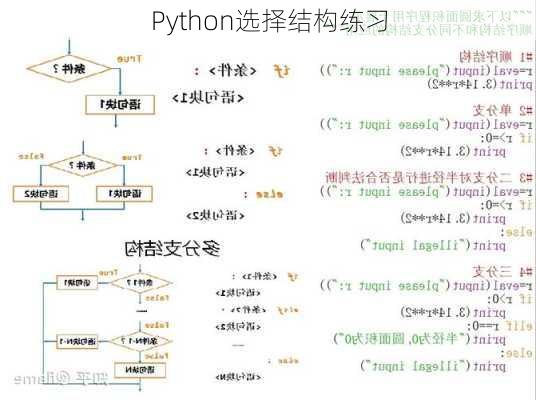 Python选择结构练习
