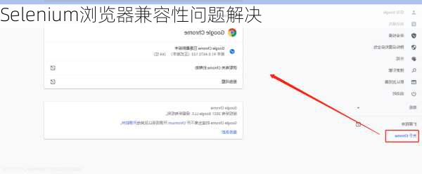Selenium浏览器兼容性问题解决