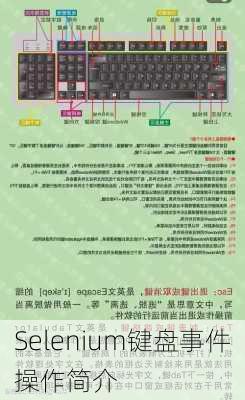 Selenium键盘事件操作简介