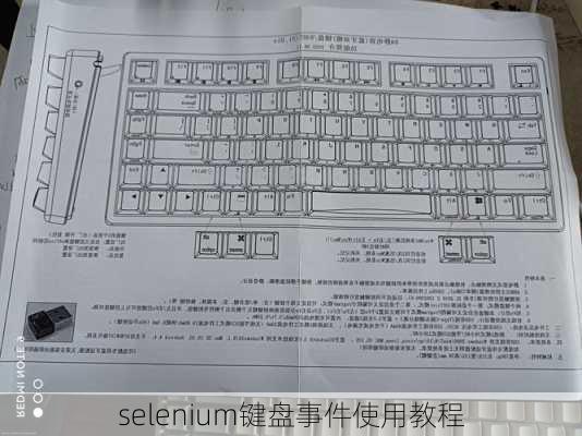 selenium键盘事件使用教程
