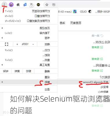 如何解决Selenium驱动浏览器的问题