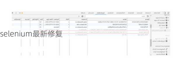 selenium最新修复