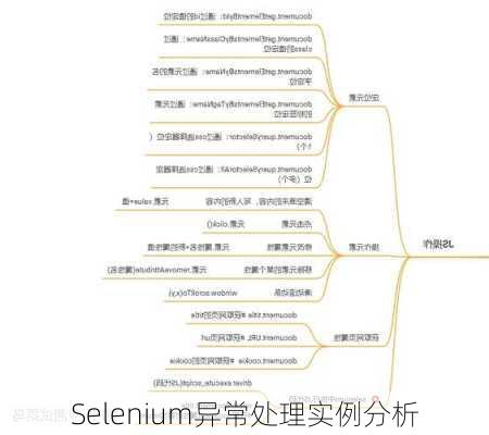 Selenium异常处理实例分析