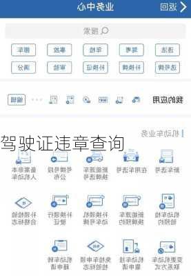 驾驶证违章查询